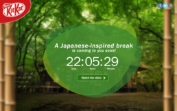 Countdown to the Microsite Launch