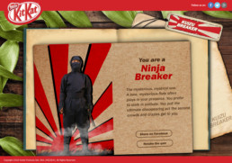 Kuizu Breaker - Ninja Breaker