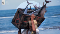 Microsite Launch - The Reward