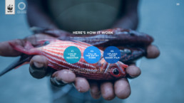 Microsite Launch - How to Join